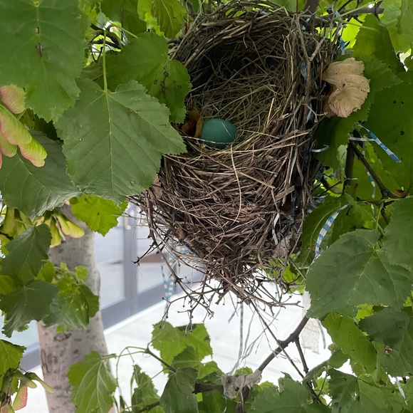 Meet your Posher, Maddie. Make an offer!! 💕😍😻 - Picture 4 of 7